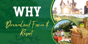 Why Dreamland Farm & Resort Is the Best Corporate Team Outing Venue in Gurgaon