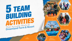 5 Team Building Activities That Actually Work at Dreamland Farm & Resort